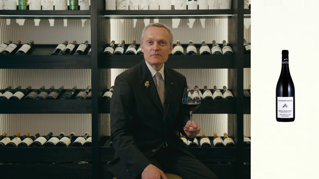 Moulin-à-Vent Très Vieilles Vignes 2023 du Domaine Anita : l’expression profonde du Beaujolais