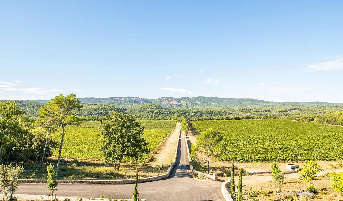 Vineyard Image 1